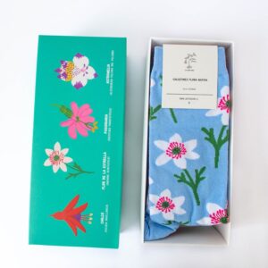 Caja abierta mostrando pack 4 calcetines Flora Nativa con ilustraciones de flora nativa de Chile, vista superior