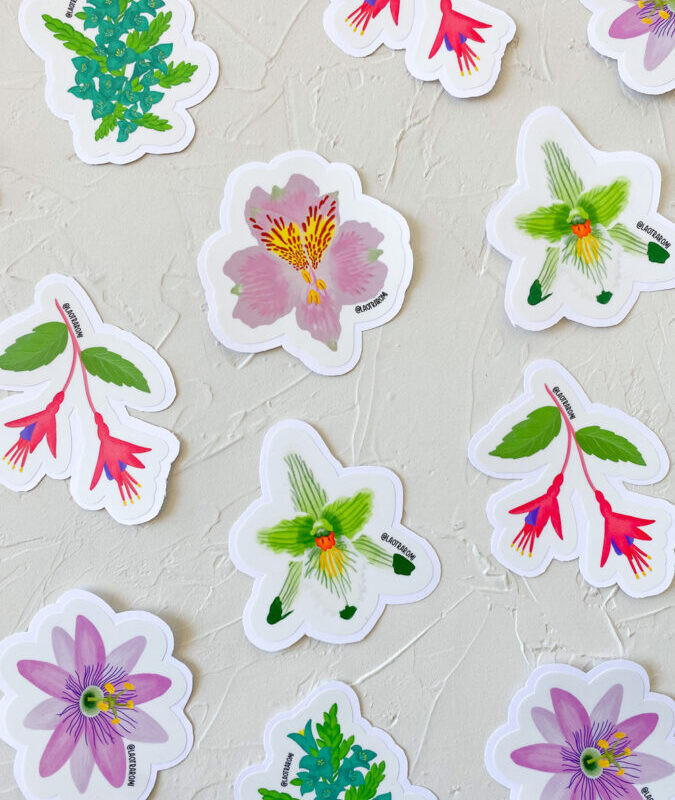 Pack 5 stickers Flora de Chile con ilustraciones de flora nativa de Chile, vista superior sobre superficie texturizada