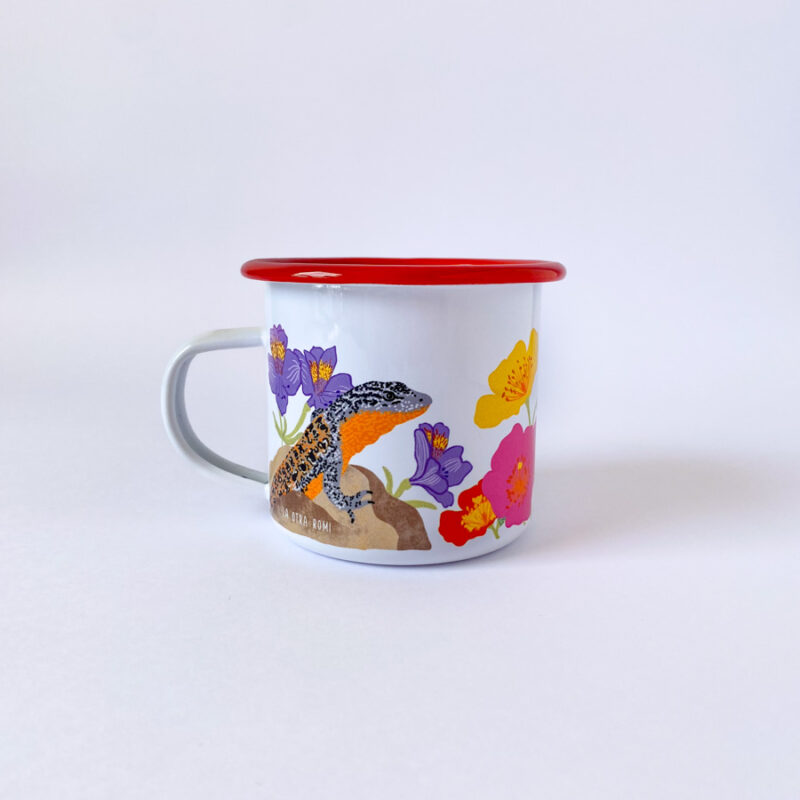 tazon enlozado desierto florido- vista lateral, detalle iguana chilena