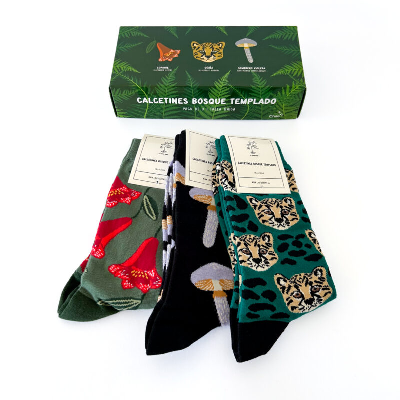 Pack 3 calcetines bosque templado, diseños copihue, sombrero violeta y güiña.