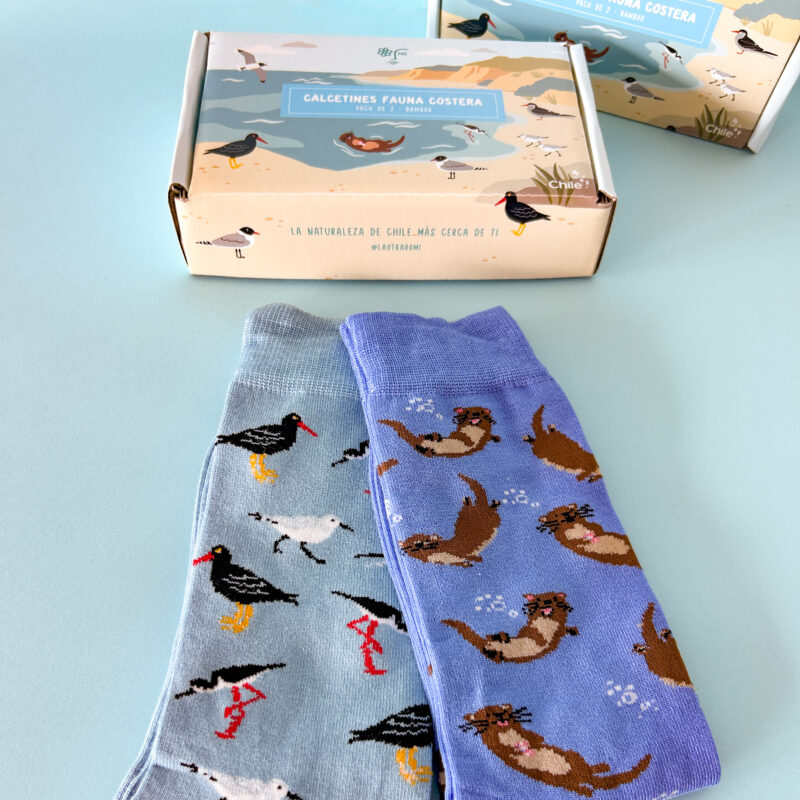 Pack de 2 calcetines bamboo, diseño aves costeras y chungungo, incluye caja ilustrada