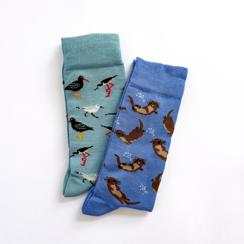 pack 2 calcetines fauna costera, diseño aves costeras y chungungo
